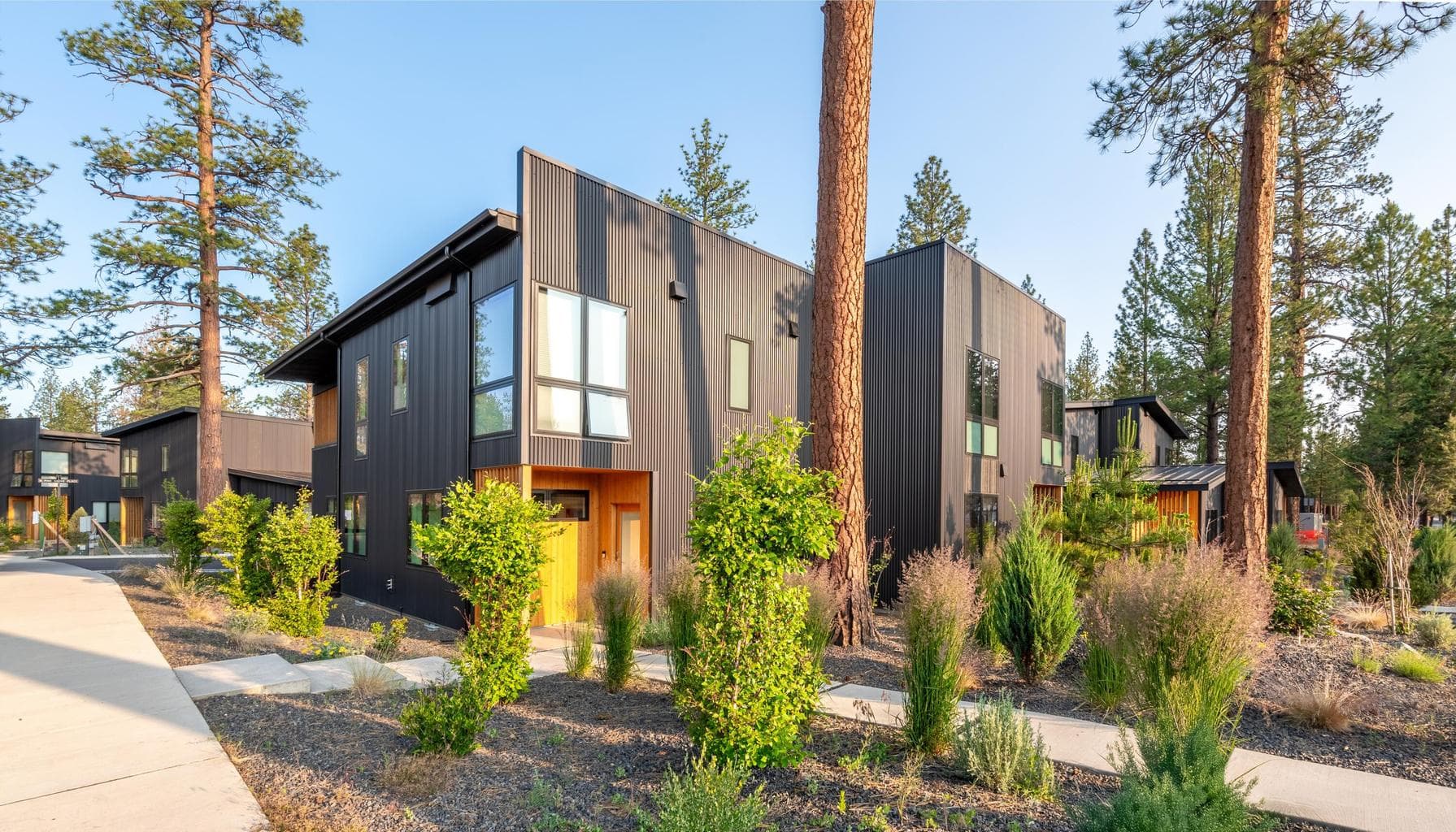 505 Pine