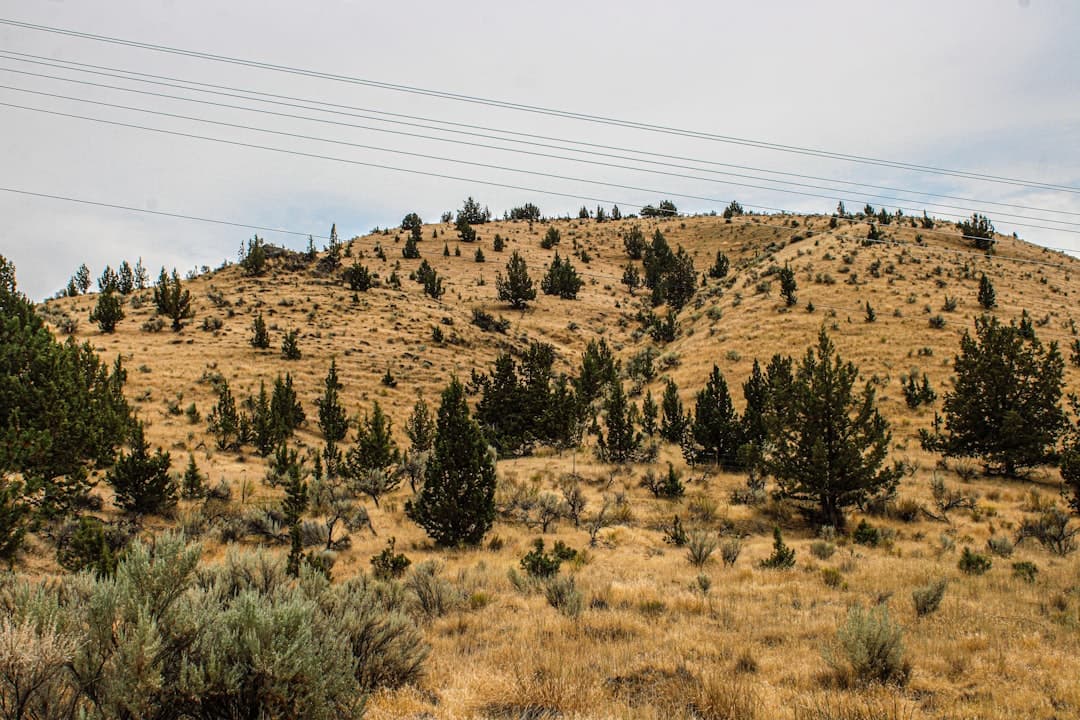 Bend, Oregon, city overview